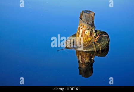 Un vieux poste d'amarrage et tire l'aile avec reflet dans la rivière Thurne sur les Norfolk Broads. BHZ. Banque D'Images