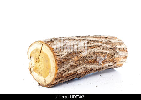 Grumes de pin sur fond blanc. studio photo. fendre du bois. Arbre de chêne pour l'hiver chauffage. section de tronc d'arbre.bois de chauffage prêt à brûler Banque D'Images