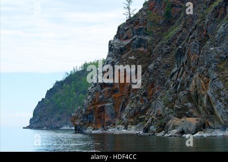 Arbre sur un rocher le lac Baïkal Banque D'Images