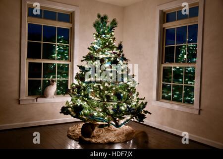 Un arbre de Noël magnifiquement décoré Banque D'Images