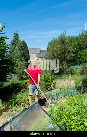 Homme avec hoe travaillant dans le jardin de légumes Banque D'Images