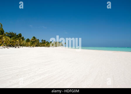 La plage bordée de palmiers, Punta Cana, République dominicaine, Amérique Centrale Banque D'Images