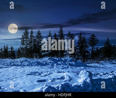 Forêt de sapins sur une prairie pleine de neige dans la nuit dans la lumière de la pleine lune Banque D'Images