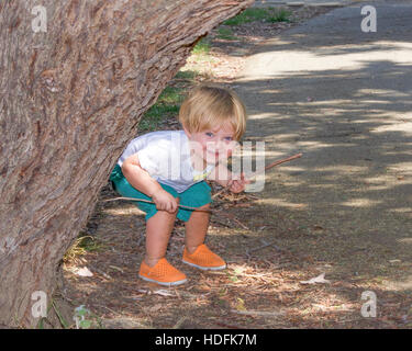 Adorable Bébé Garçon jouant avec stick en parc et se cachant sous grand arbre Banque D'Images