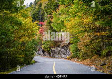 Début de l'automne couleur le long de la route de Grandfather Mountain, Caroline du Nord. Banque D'Images