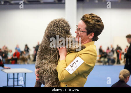 Helsinki, Finlande. 11Th Feb 2016. Un raiser se caresse son chien lors d'un concours de chiens à Helsinki, capitale de la Finlande, le 10 décembre 2016. Organisées une fois par an, gagnant d'Helsinki est le plus grand événement des chiens en Finlande. © Zhang Xuan/Xinhua/Alamy Live News Banque D'Images