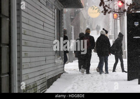 Halifax, Canada. Dec 12, 2016. Des vents violents et de fortes chutes de neige a frappé le centre-ville d'Halifax, N.-É., le 12 décembre 2016. Credit : Lee Brown/Alamy Live News Banque D'Images