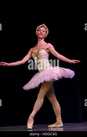 La Havane, Cuba. 16 Nov, 2016. Cuba Prodanza. La promotion de la danse © Joanne Kalish/ZUMA/Alamy Fil Live News Banque D'Images