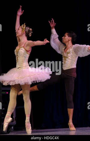 La Havane, Cuba. 16 Nov, 2016. Cuba Prodanza. La promotion de la danse © Joanne Kalish/ZUMA/Alamy Fil Live News Banque D'Images