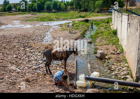 TURBAT, KAZAKHSTAN - 21 juillet : Kid du remplissage de bouteilles d'eau à la rivière au printemps pour les transporter à dos d'âne. Juillet 2016 Banque D'Images