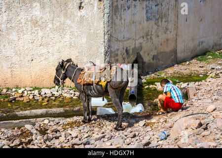 TURBAT, KAZAKHSTAN - 21 juillet : Kid du remplissage de bouteilles d'eau à la rivière au printemps pour les transporter à dos d'âne. Juillet 2016 Banque D'Images