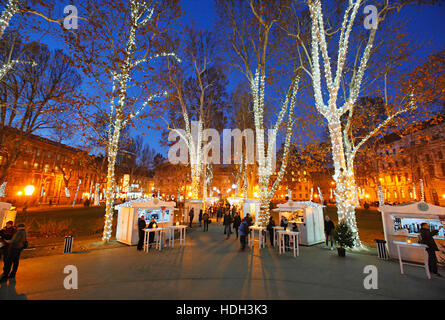 Arbres lumineux sur parc Zrinjevac en temps de Noël dans la ville de Zagreb Banque D'Images