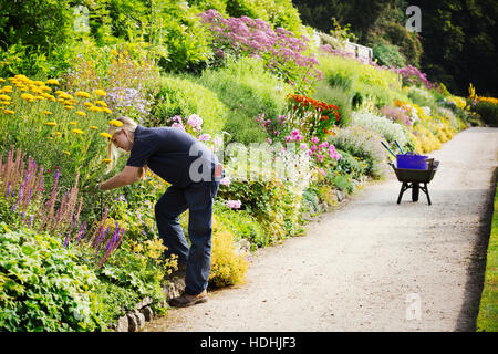 Deux jardiniers travaillant sur une frontière mixtes de fleurs à Waterperry Gardens dans l'Oxfordshire. Banque D'Images