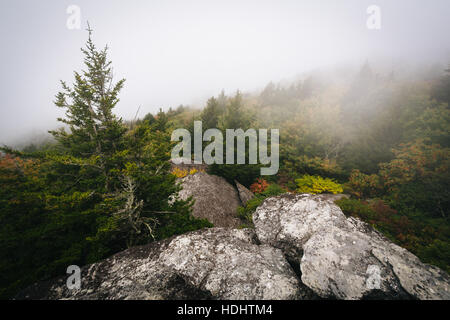 Vue sur les arbres dans le brouillard de Black Rock, à la Grandfather Mountain, en Caroline du Nord. Banque D'Images