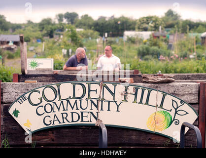 Chat jardiniers au Golden Hill Community Garden à Bristol UK Banque D'Images