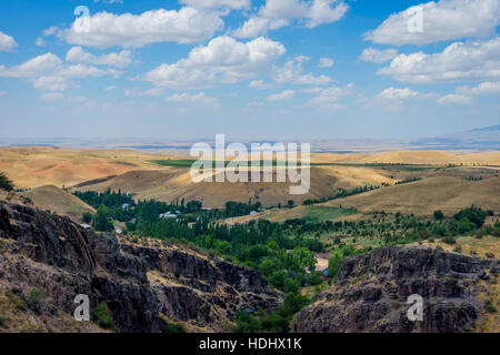 La couleur d'or sans fin paysage herbe kazakh Banque D'Images