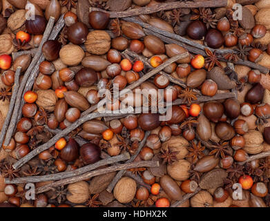 Fond naturel de fête avec un mélange de châtaignes, amandes, noix du brésil, noix de pécan, noisettes, anis étoilé, réglisse et pommes de crabe Banque D'Images