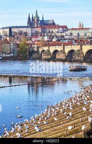 Le château de Prague et le pont Charles, Prague (République tchèque), l'UNESCO Banque D'Images