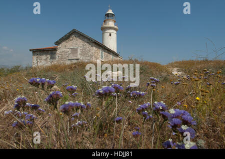 La lavande de mer (Limonium) et le phare dans le ciel bleu. Banque D'Images