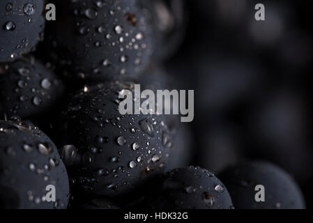 Gros plan, baie de raisin avec des gouttes d'eau Banque D'Images