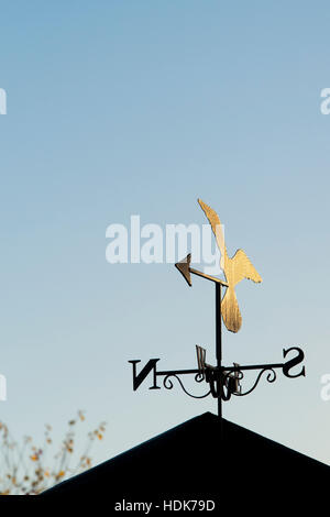 Lumière du matin sur un oiseau weathervane en hiver. ROYAUME-UNI Banque D'Images