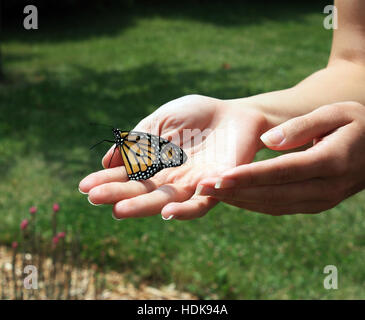 Close up d'un papillon monarque assis sur la main d'une femme Banque D'Images