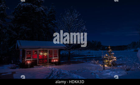 Moonlighted vue de la maison du jardin enneigé avec l'arbre de Noël illuminé en arrière-plan un champ neigeux est entouré d'une forêt Banque D'Images