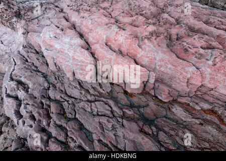 Des formations de roche sédimentaire paléozoïque, une partie de l'Avelgem complexe d'accrétion, Eden, Côte Sud, New South Wales, NSW, Australie Banque D'Images