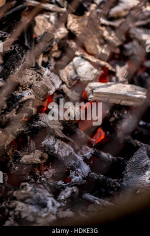 Dans le charbon incandescent chaud gril en close up. Cuisine d'été en plein air. Banque D'Images