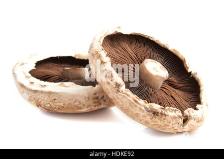 Champignons portabella brutes isolated over white Banque D'Images