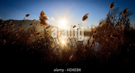 Paysage avec le soleil reflet dans l'eau d'un lac Banque D'Images