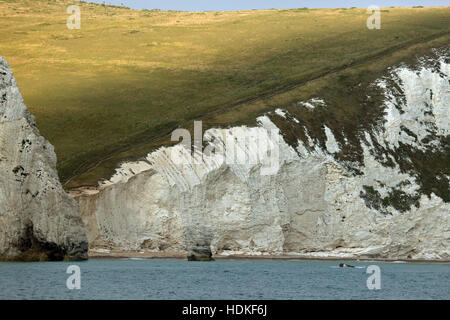 Craie structure et la cheminée d'un bat's Head près de Durdle Door Weymouth Dorset UK Banque D'Images