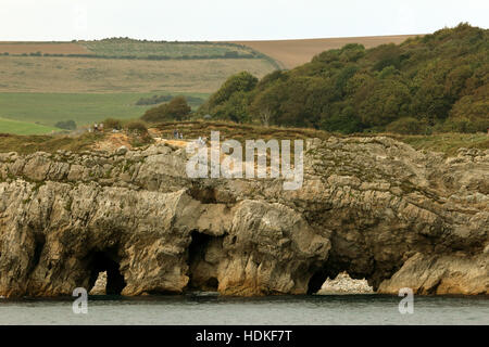 Falaise de calcaire face à la mer à trou près de la structure de l'Escalier de Lulworth Cove Dorset UK Banque D'Images