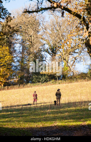 Femme avec un fusil de chasse sur un faisan shoot au Pays de Galles, avec chien et son maître Banque D'Images