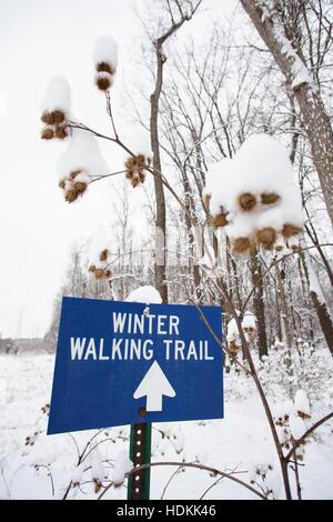 Un panneau 'winter walking trail' sur Pike Island, une partie de Fort Snelling State Park à Minneapolis, Minnesota, USA. Banque D'Images