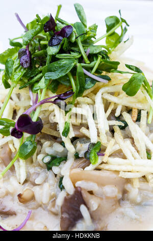 Close up d'un risotto aux champignons sauvages de fines tranches de pommes de terre sautées et une salade de chou vert comme garniture Banque D'Images