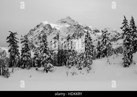 Une scène enneigée de Mt. Shuksan en hiver Banque D'Images