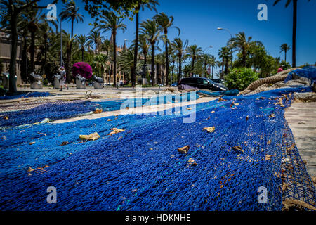 Filet de pêche bleu cordes fixées à plat sur le sentier en pierre dans la ville de Palma, avec des fleurs et des palmiers Banque D'Images