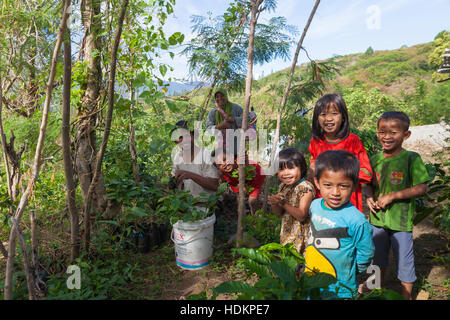 Famille musulmane la préparation de planter des plants de café en montagne Banque D'Images