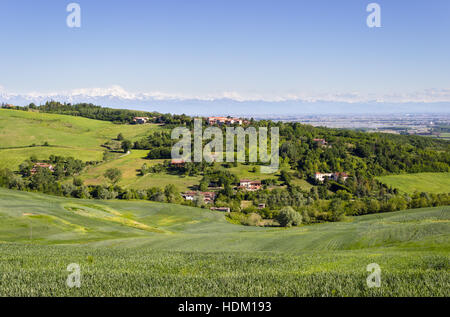 Paysage de collines avec des champs de blé sur un matin de printemps, les collines de Monferrato, Piémont, Italie. Alpes sur l'arrière-plan Banque D'Images