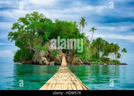 Pont suspendu pour piétons en bambou au-dessus de la mer à l'île de désert à distance. Beau paysage tropical. Style de voyage. La nature sauvage Banque D'Images