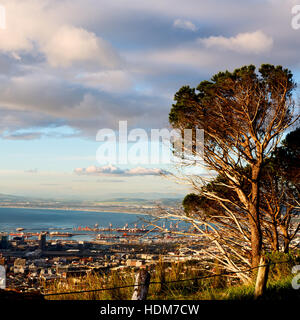 Blur en afrique du sud Cape town vue panoramique de la montagne de la table et nature arbre cloud Banque D'Images