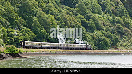 Circulation du train à vapeur le long des rives de la rivière Dart, Devon, UK. Banque D'Images