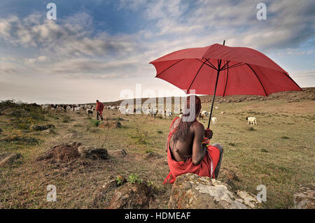 Guerrier massaï Tribesman avec parapluie rouge dans un champ avec des chèvres et Maasai herder. Le Kenya, l'Afrique. Banque D'Images