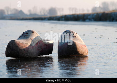 Sabots sur la glace froide dans winterlandscape Banque D'Images