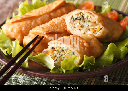 Rouleaux de printemps frits asiatiques farcies de légumes sur une assiette et baguettes close-up horizontale. Banque D'Images