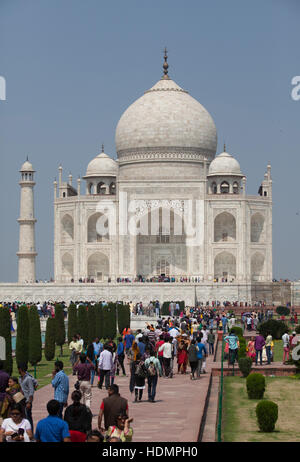 Le Mausolée du Taj Mahal, le sud ,l'Uttar Pradesh, Inde Banque D'Images