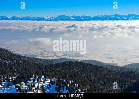 Vue depuis la crête de Dole, la couverture nuageuse au-dessus du lac de Genève, Valais derrière, Saint-Cergue, Jura, Canton de Vaud, Suisse Banque D'Images