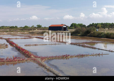 Les marais salants, le port des Salines, musée en plein air, Île d'Oléron, Charente-Maritime, France Banque D'Images