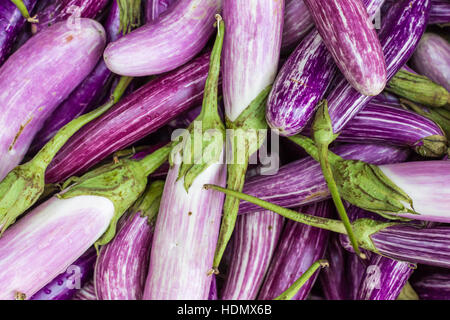 Libre d'Aubergines sur légumes du marché à Kandy, Sri Lanka. Banque D'Images